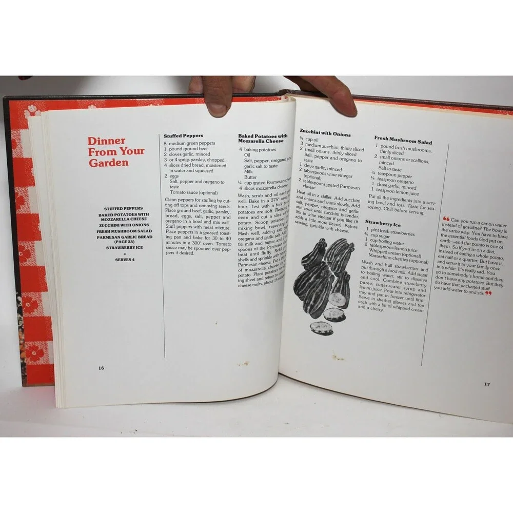Mama D's Homestyle Italian Cookbook by Giovanna D'Agostino HC Golden 1975 Vintag